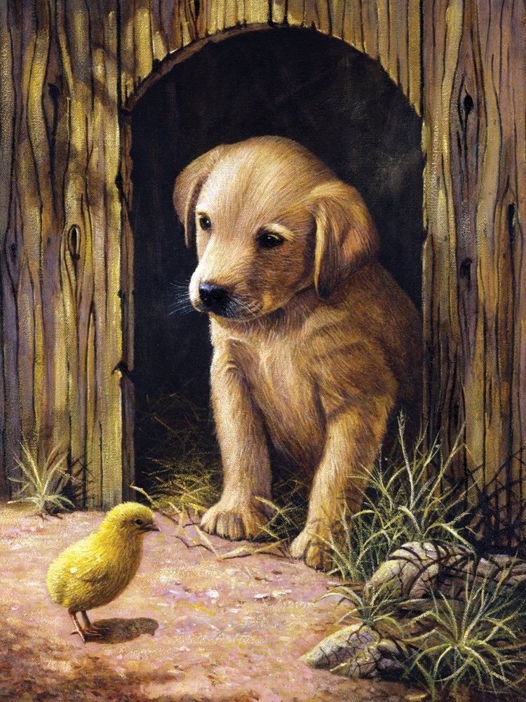 Maľovanie podľa čísiel A4- Šteniatko labradora