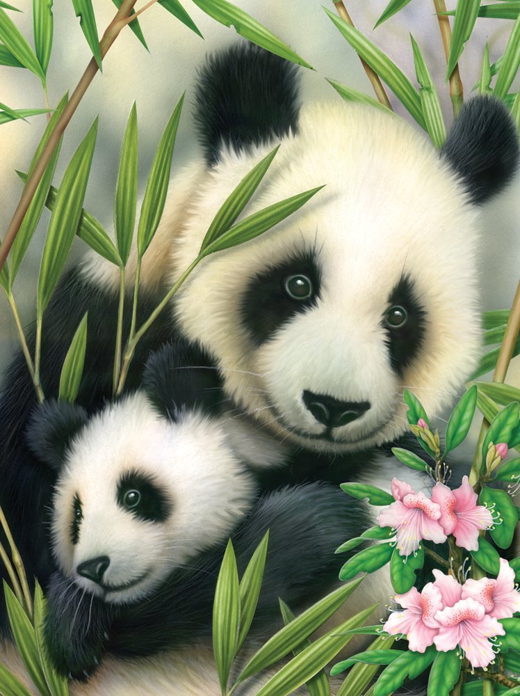 Maľovanie podľa čísiel A4- Panda s mláďaťom