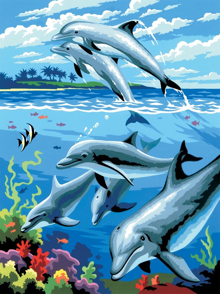 Maľovanie podľa čísiel A4 - Delfíny