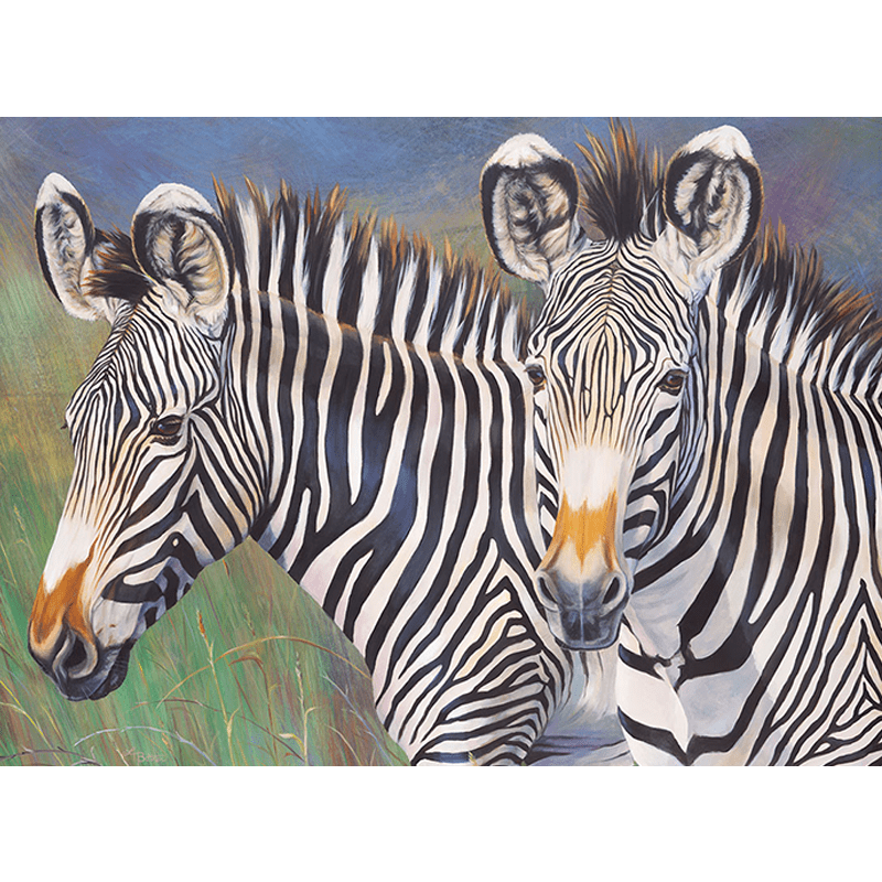 Maľovanie podľa čísiel formát A3 -  Zebry